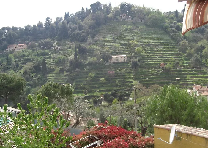 Les Hauts Du Baousset * マントン