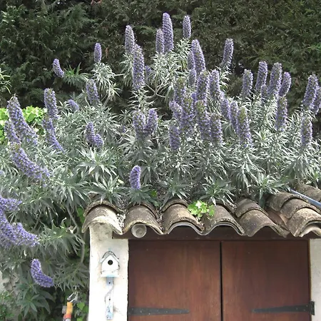 Les Hauts Du Baousset Vakantiehuis *