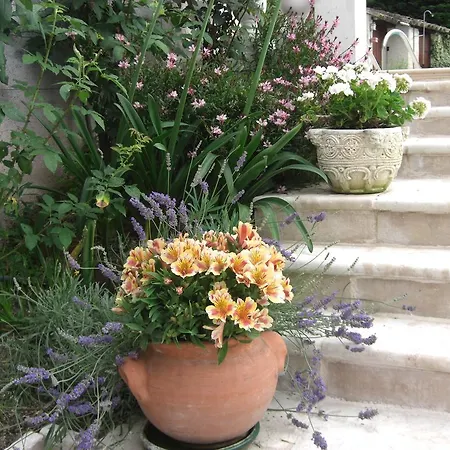 Les Hauts Du Baousset * Menton