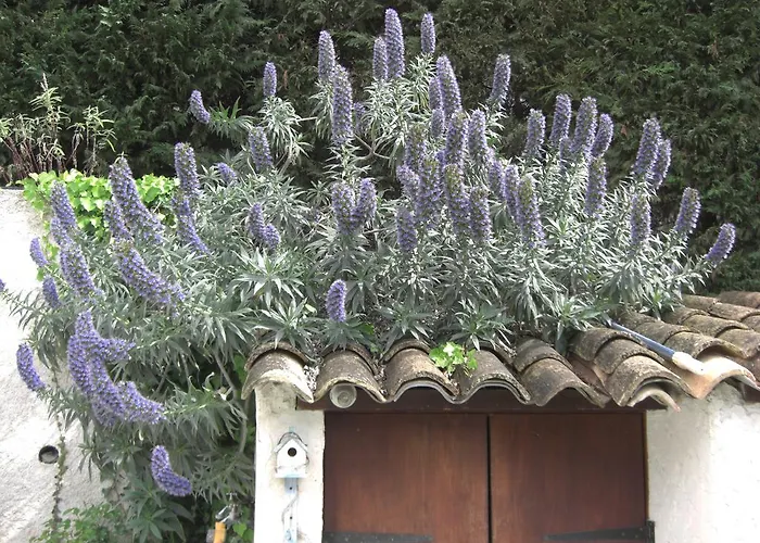 Les Hauts Du Baousset Nyaraló *